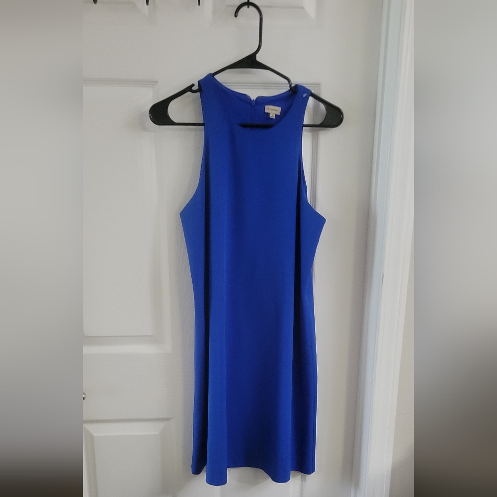 Cremieux Dress